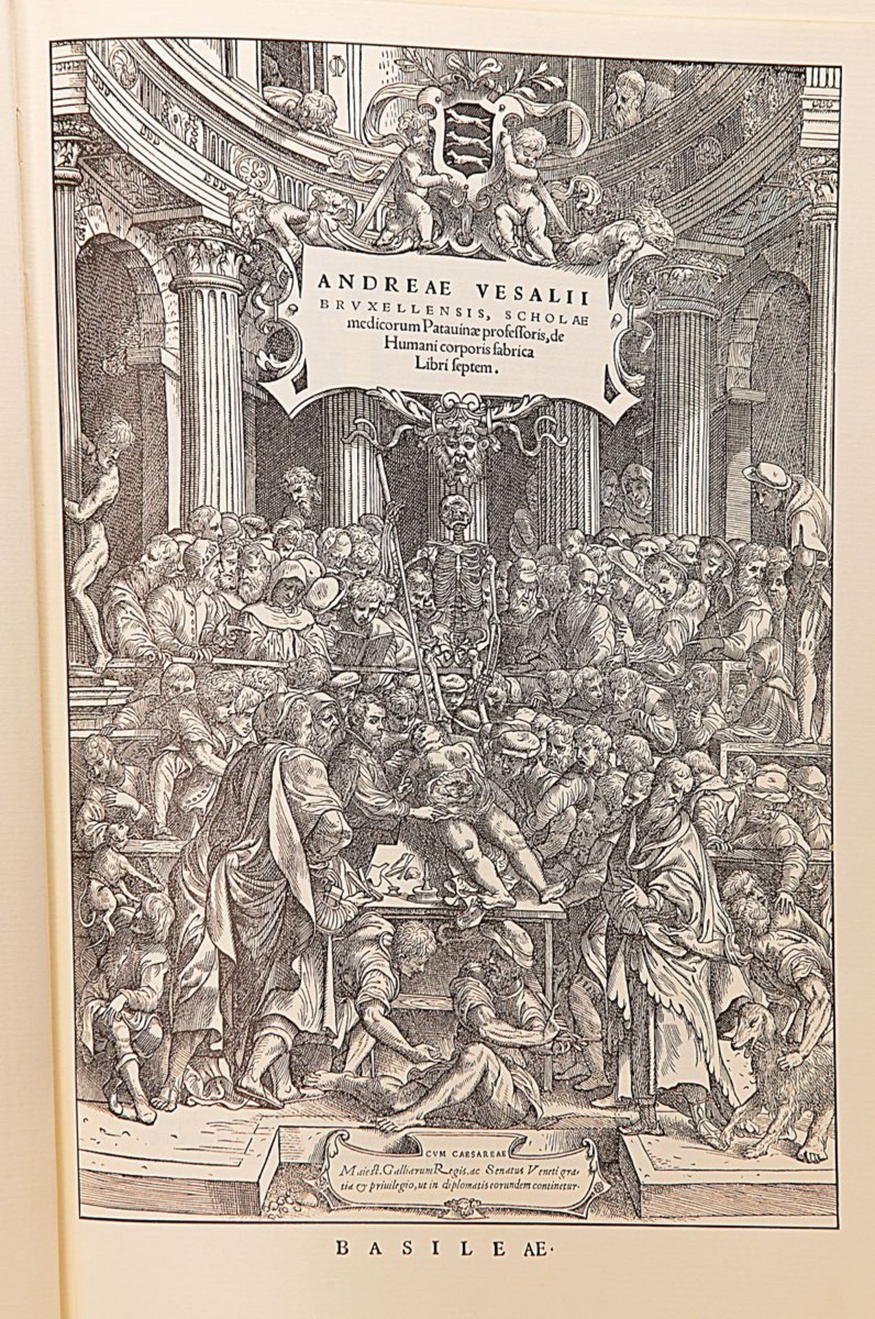 Faksimile: Andreae Vesalii Bruxellensis, Scholae medicorum Patauinae professores de Humani