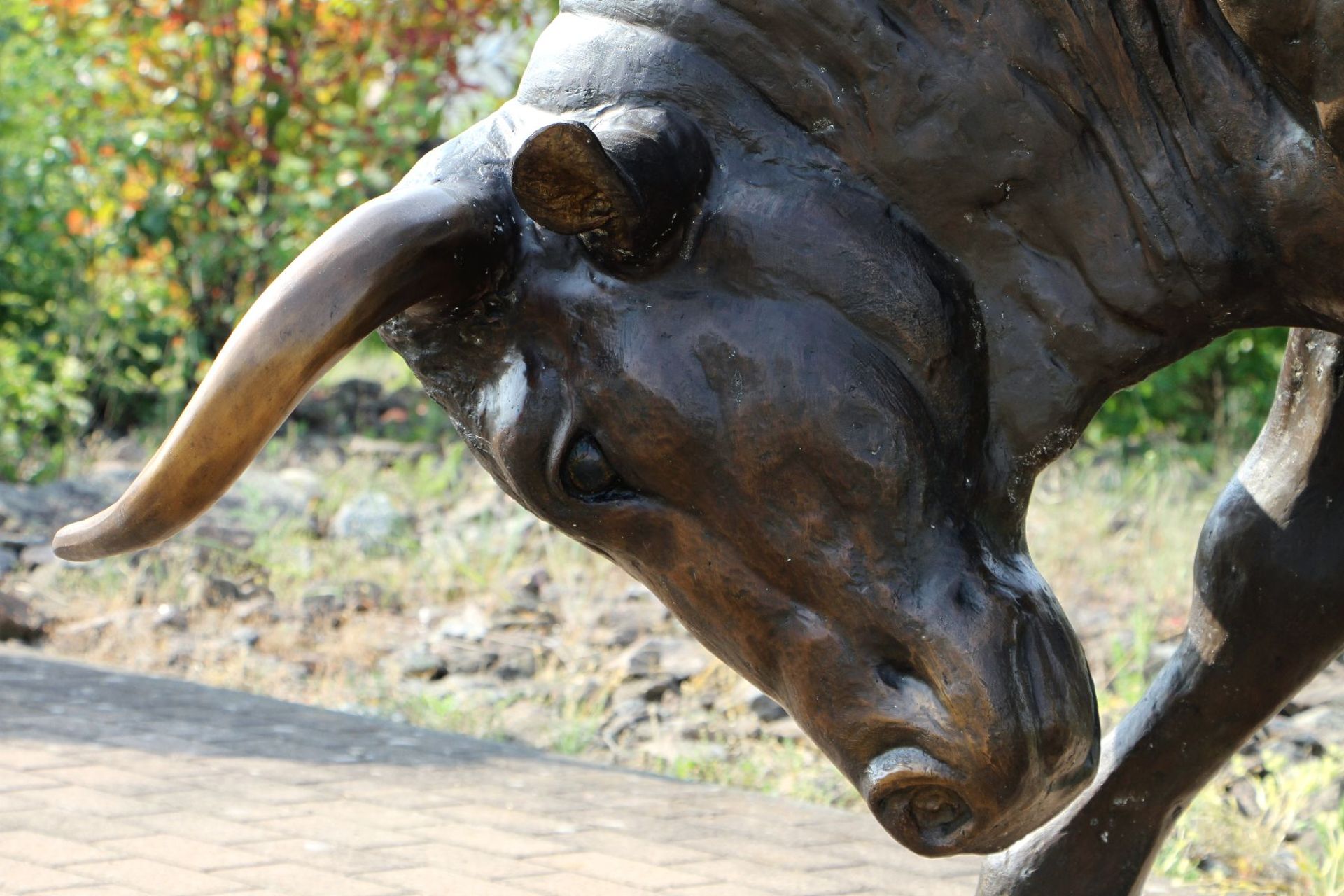 Stier in Angriffsstellung, Bronze, braun patiniert, Hörner u. Hufe teils goldbraun abgesetzt, - Bild 3 aus 4