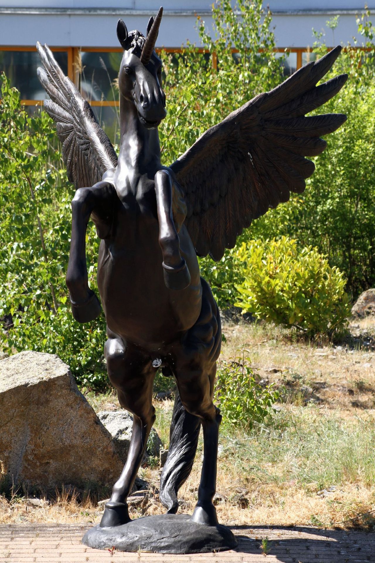Pegasus, Bronze, anthrazit patiniert, in der griechischen Mythologie das Kind des Meeresgottes