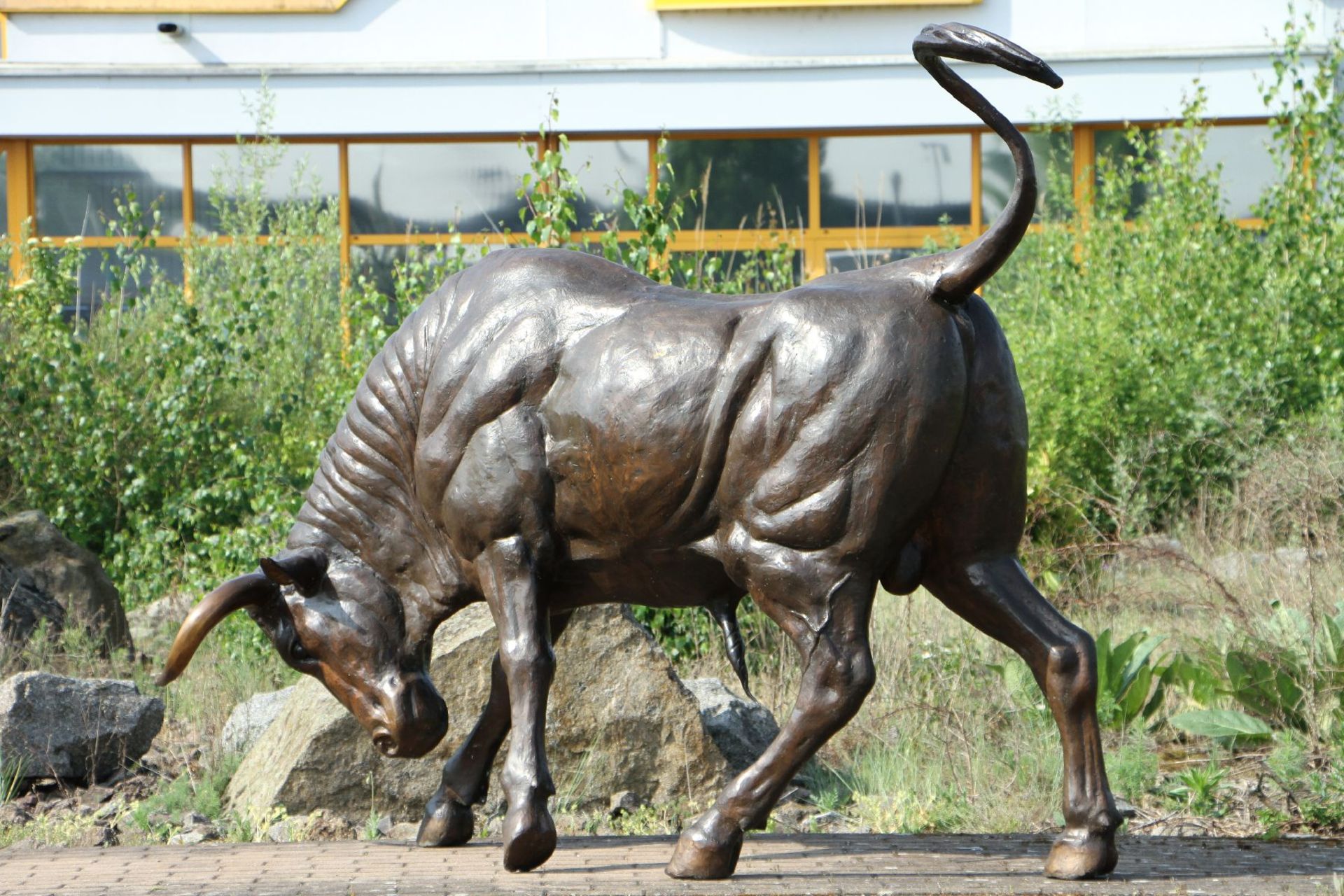Stier in Angriffsstellung, Bronze, braun patiniert, Hörner u. Hufe teils goldbraun abgesetzt, - Bild 4 aus 4