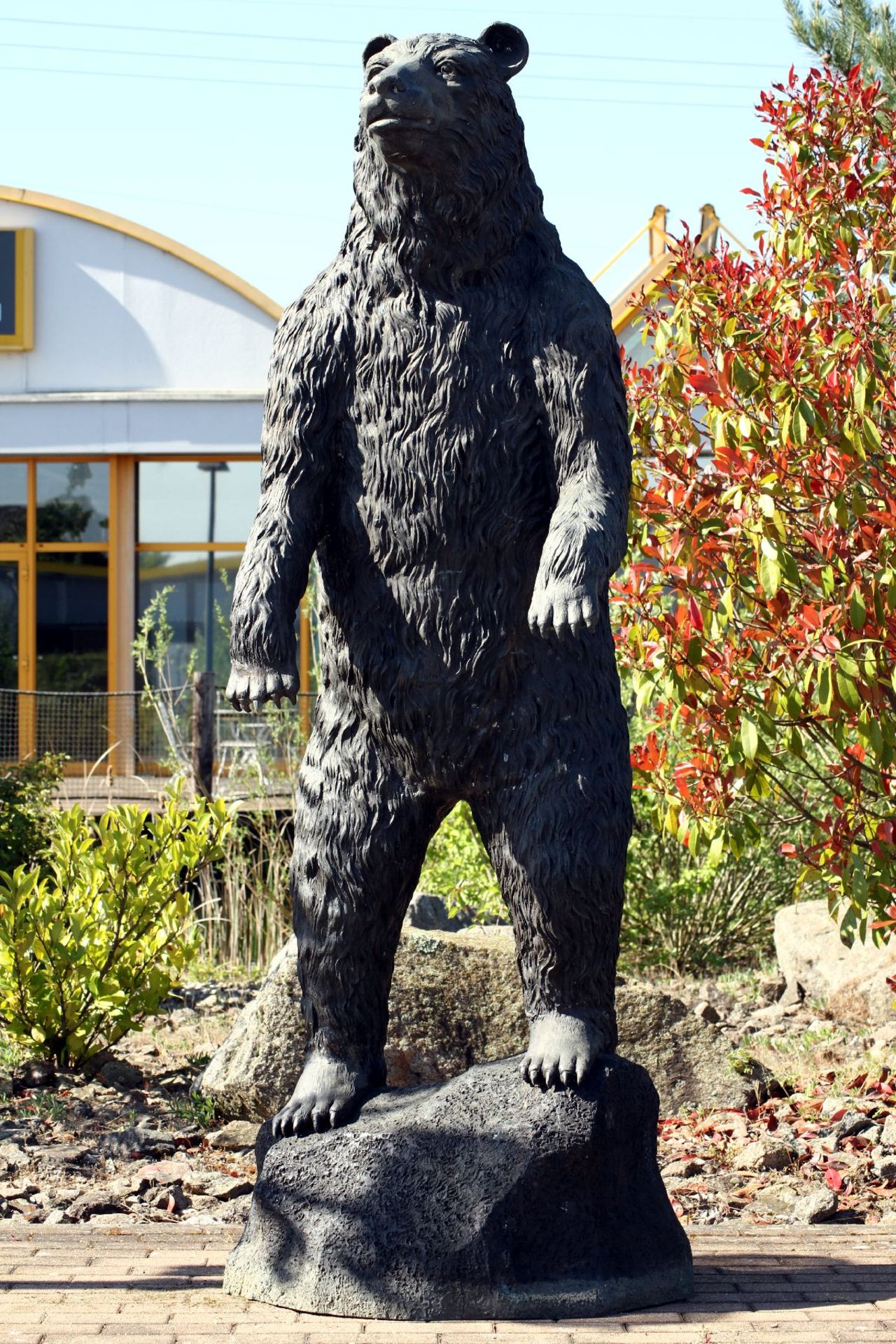 Stehender Bär, Bronze, dunkelbraun patiniert, aufmerksam neugieriger Ausdruck, imposante