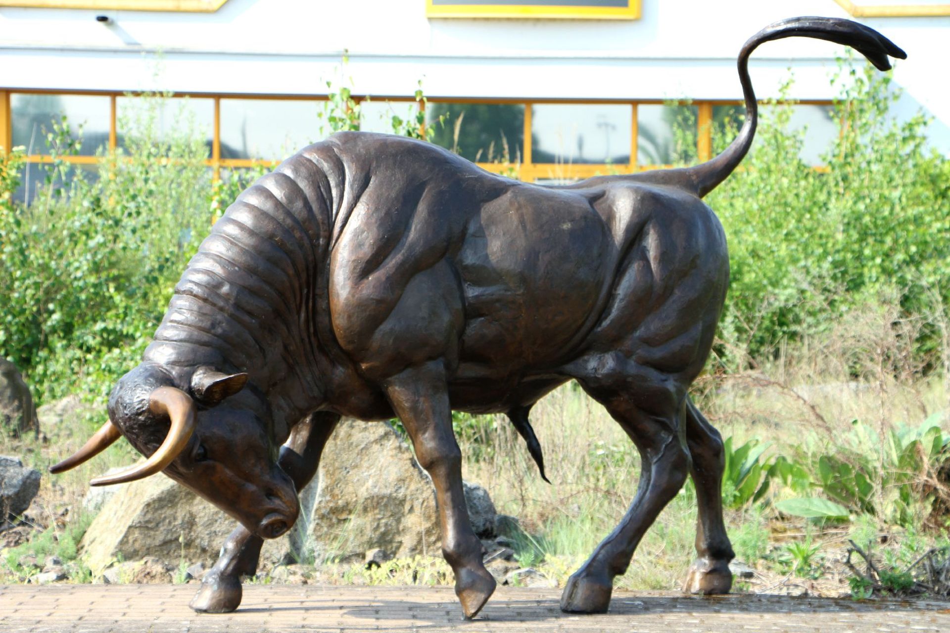 Stier in Angriffsstellung, Bronze, braun patiniert, Hörner u. Hufe teils goldbraun abgesetzt, - Bild 2 aus 4