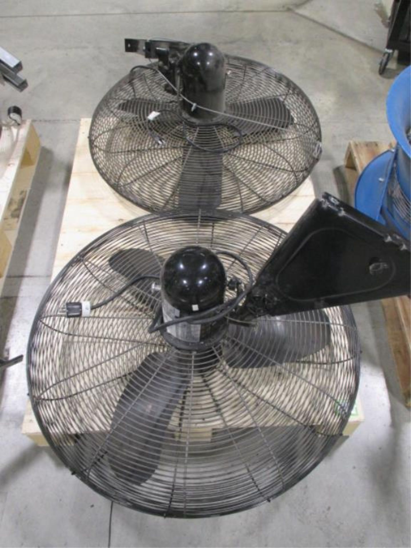 Wallmount Fans