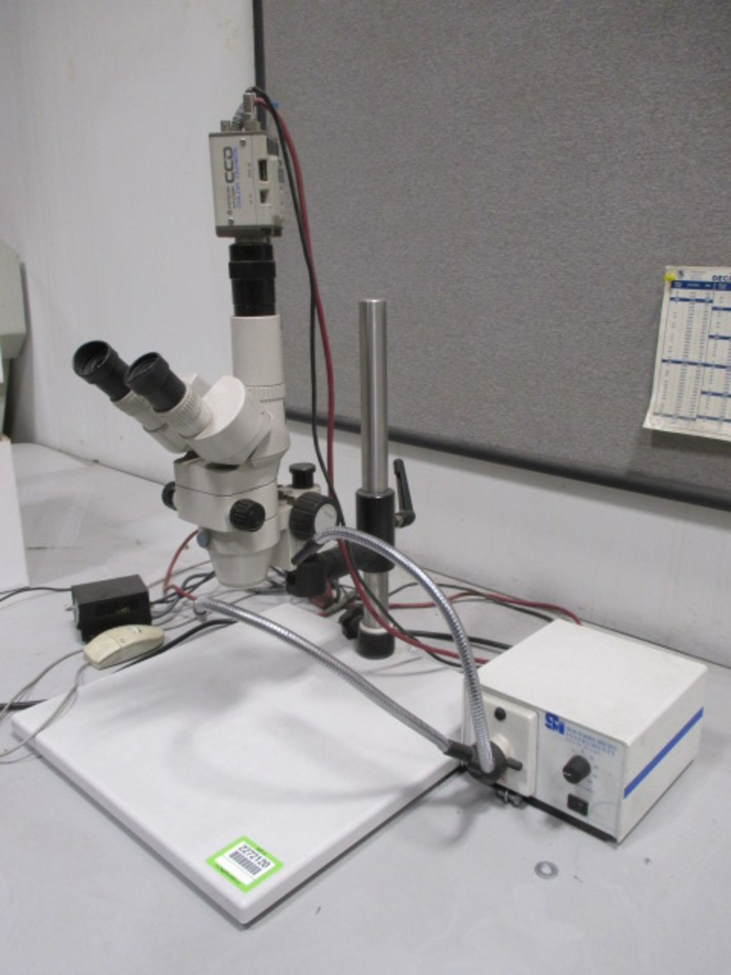 Stereo Microscope