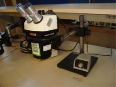 Stereozoom Microscope With Fiber Light Source