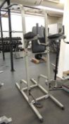 Vertical Leg Lift Stomach Cruncher