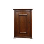 EDWARDIAN MAHOGANY LOCKER