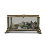 ANTIQUE GLASS AND BRASS CASE