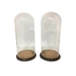 PAIR OF LARGE 19TH CENTURY GLASS DOMES