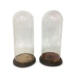 PAIR OF 19TH CENTURY GLASS DOMES