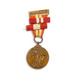 IRISH ARMY MEDAL