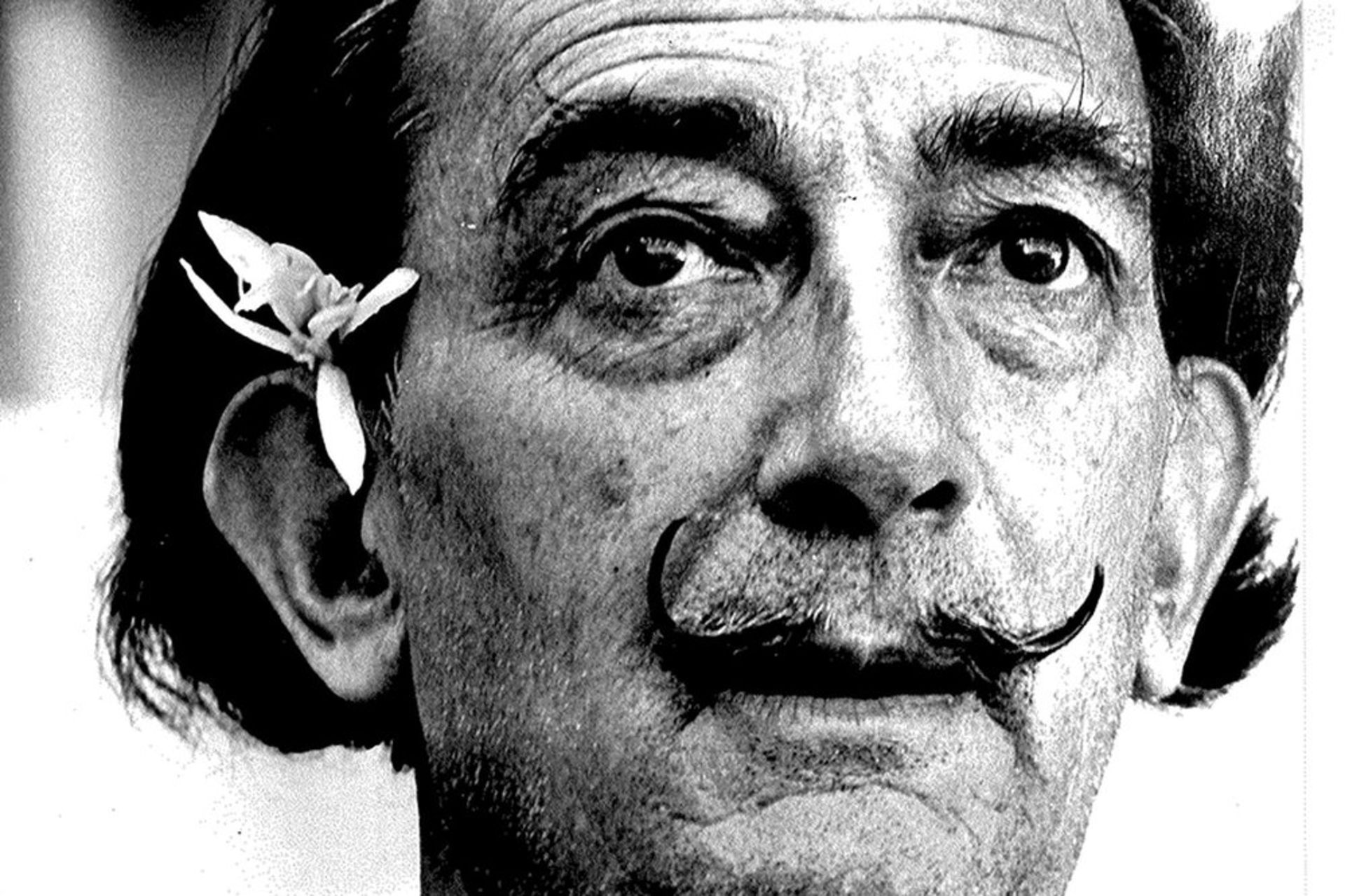 SALVADOR DALI. 1904-1989. A set of 3 vintage photographs - 1) Salvador Dalí with a [...] - Bild 3 aus 3