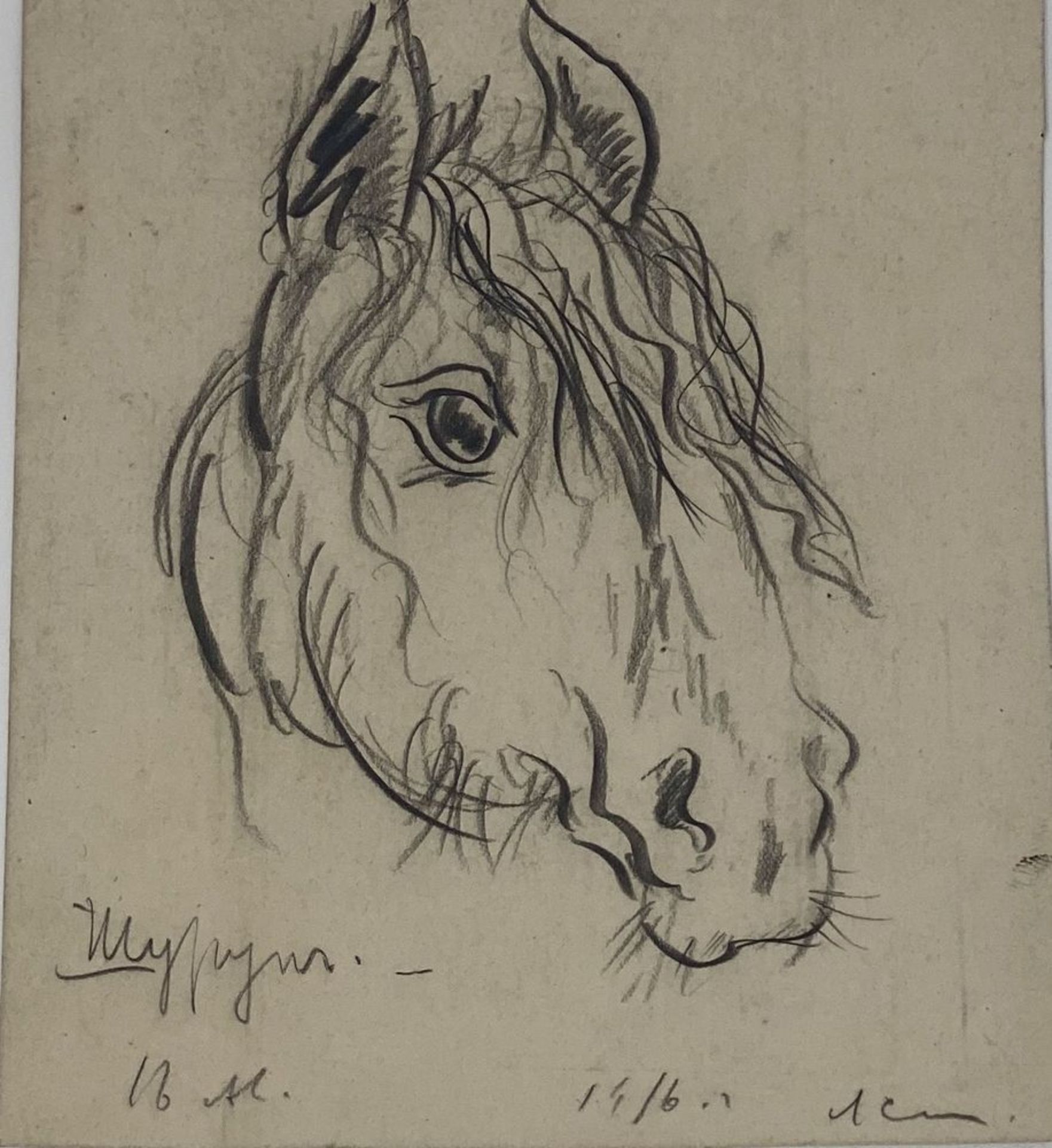 LEONID ROMANOVITCH SOLOGUB (1884-1956), The head of the horse, Foal, Horse sketch, [...] - Bild 2 aus 8