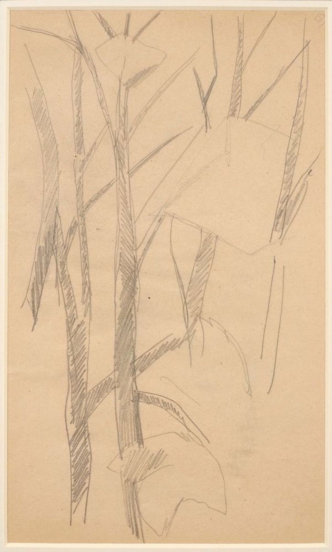 LYUBOV POPOVA (1889-1924), Two Studies of Trees annotated with numbers ‘161’ and [...] - Bild 2 aus 3