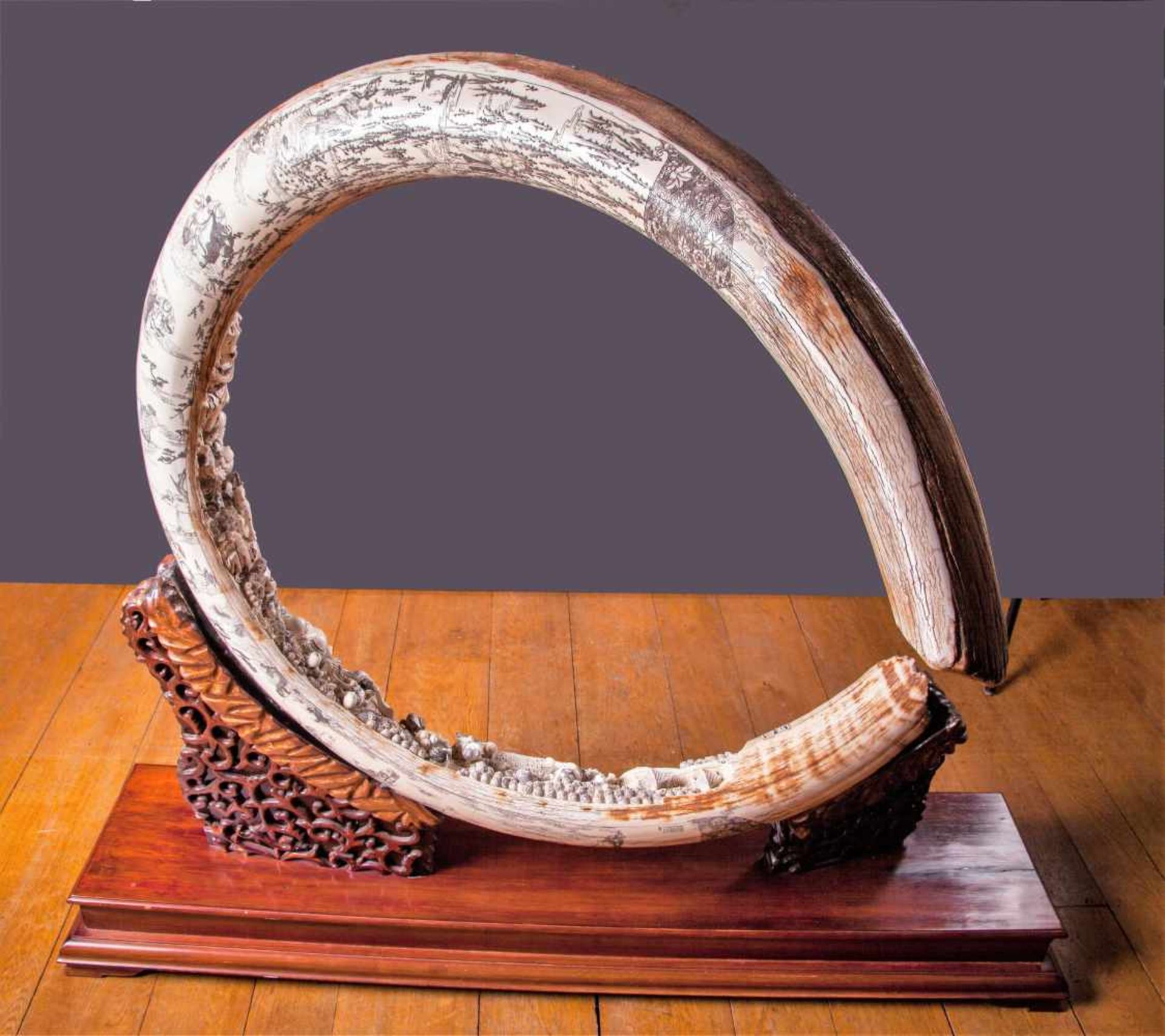 An Exceptionally Carved Wooly Mammoth Tusk - Bild 22 aus 32