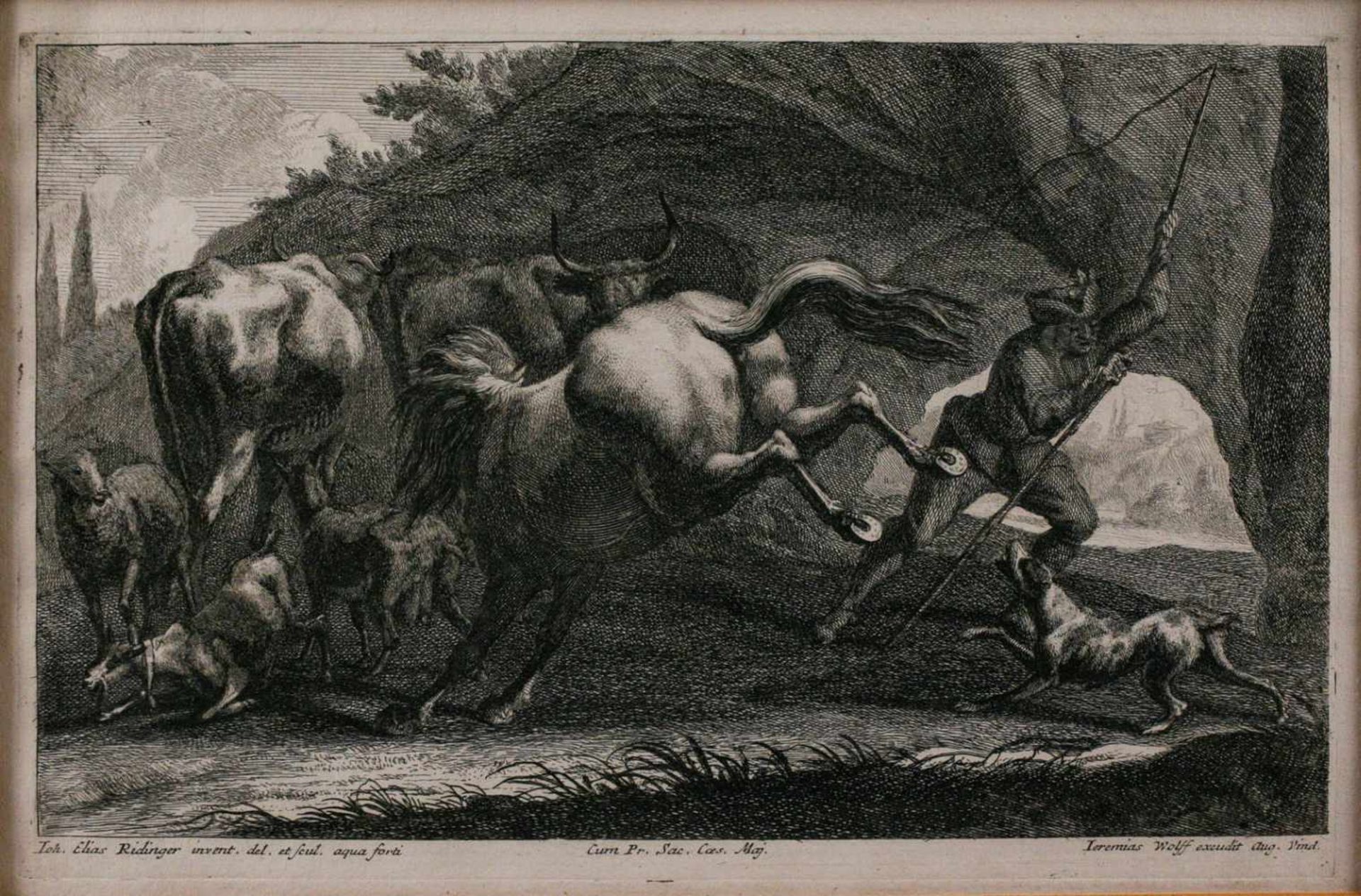 GRAFIKDas scheuende Pferd Kupferstich. Sichtmaß 20 x 31 cm, Druckmaß 19 x 29,5 cm. Unten links