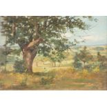 EMILE CHARLES DAMERON1848 Paris - 1908 ebendaLandschaft Öl auf Leinwand. 32,5 x 45,5 cm (R. 49 x