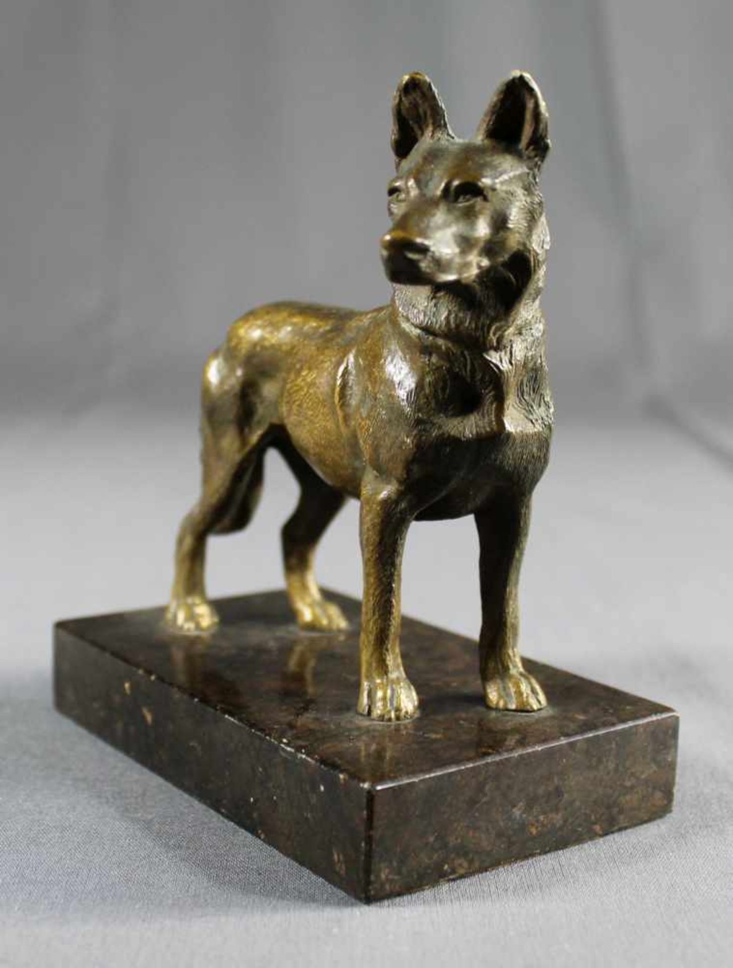 1 kleine Bronzefigur auf schwarzem Marmorsockel "Schäferhund", keine Signatur erkennbar, Sockel - Bild 3 aus 4