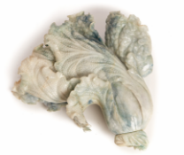 A LARGE CARVED JADE CABBAGE