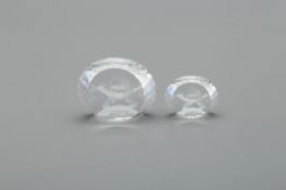 TWO SWAROVSKI COLUMBINE PAPERWEIGHTS