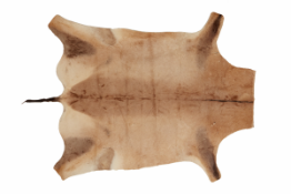 AN ANTELOPE SKIN RUG