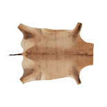 AN ANTELOPE SKIN RUG