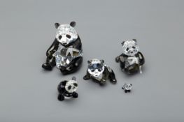 FIVE SWAROVSKI PANDA FIGURES