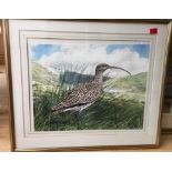 James Renny Watercolour " A curlew in the Perthshire Upland" - actual Watercolour-23" x 17 1/2".