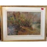 Arhcibald Thorburn signed Dec 1898 Watercolour of a Wooded Scene - Inveran Woods, Loch Maree.