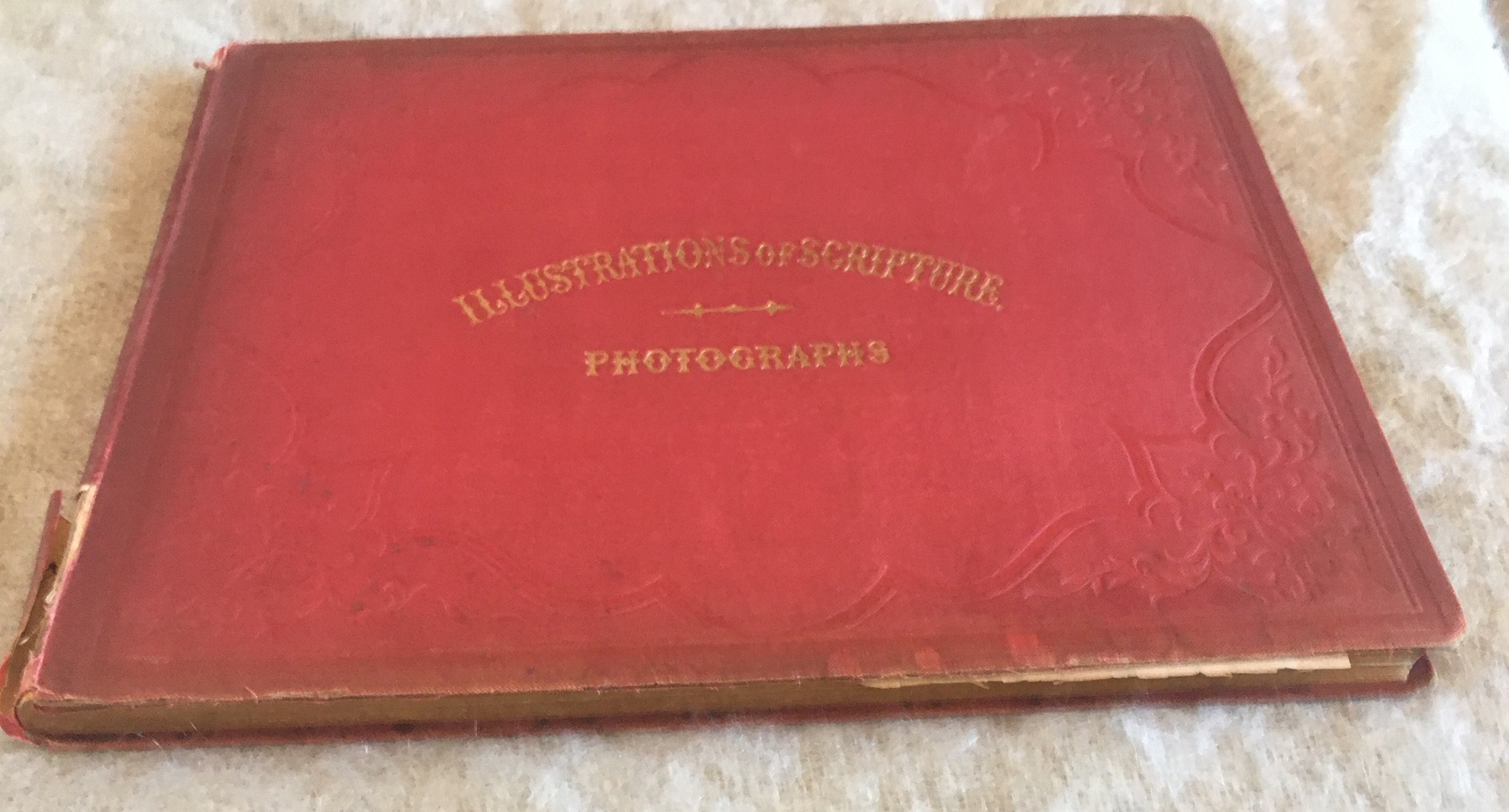 Illustrations of Scripture - Photographs - by an Animal Painter - Constable Edinburgh 1854. - Image 13 of 15