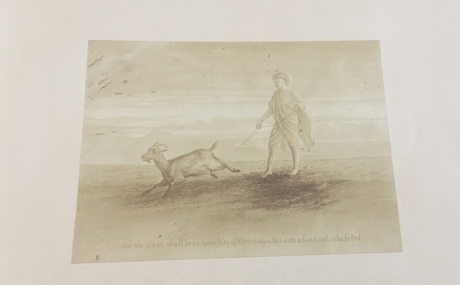 Illustrations of Scripture - Photographs - by an Animal Painter - Constable Edinburgh 1854. - Image 7 of 15