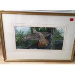 James Renny Watercolour " Partridge Takes Flight" actual watercolour 21" x 10 1/2".