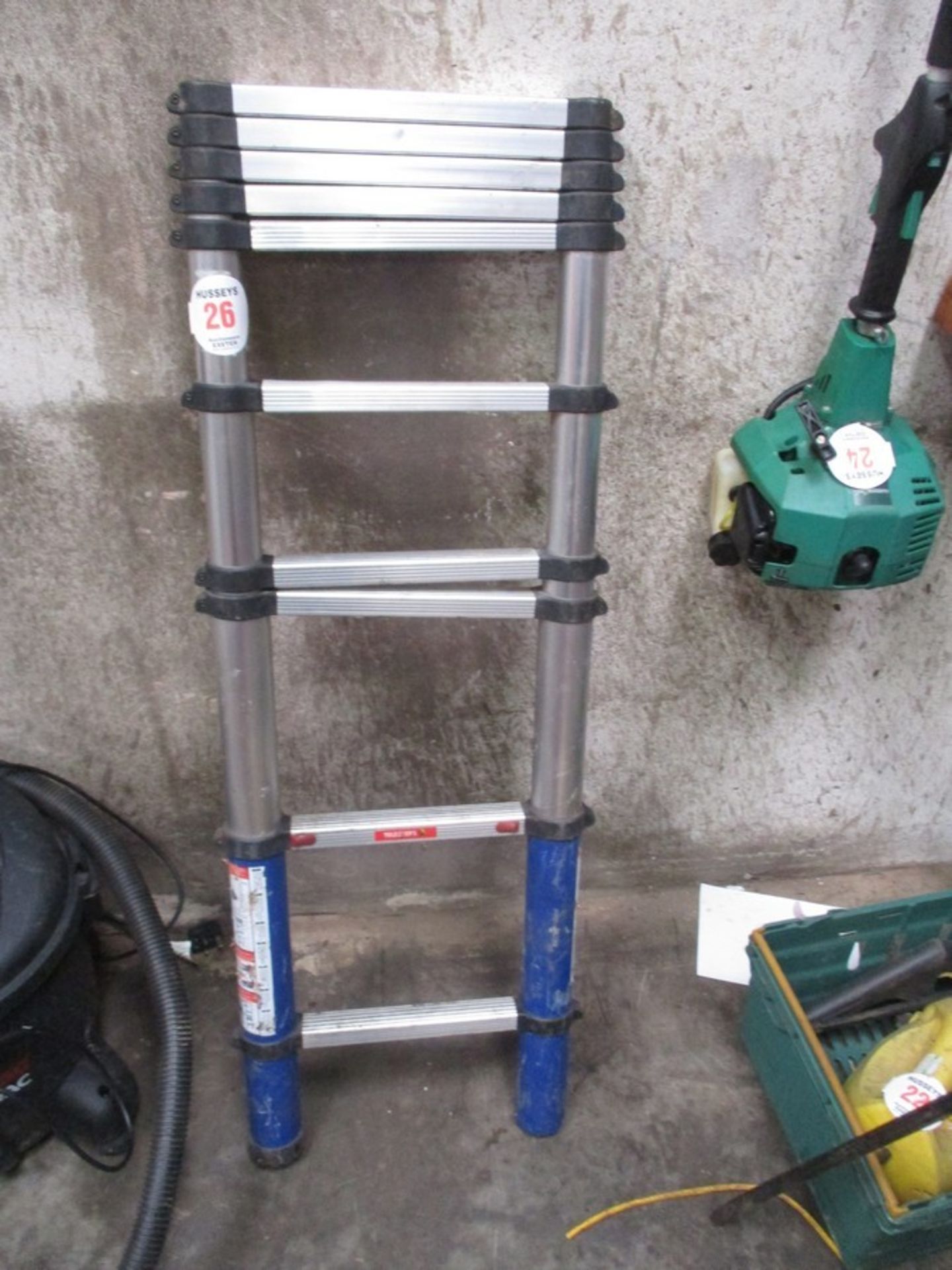 TELESTEPS EXTENDABLE LADDER