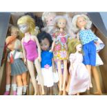 Dolls including Daisy by Mary Quant, Dusty, Pippa, Sindy, etc.