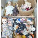 A collection of dolls