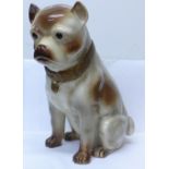 A pottery figure of a French bulldog, 35cm
