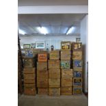 A large quantity of advertising fruit boxes