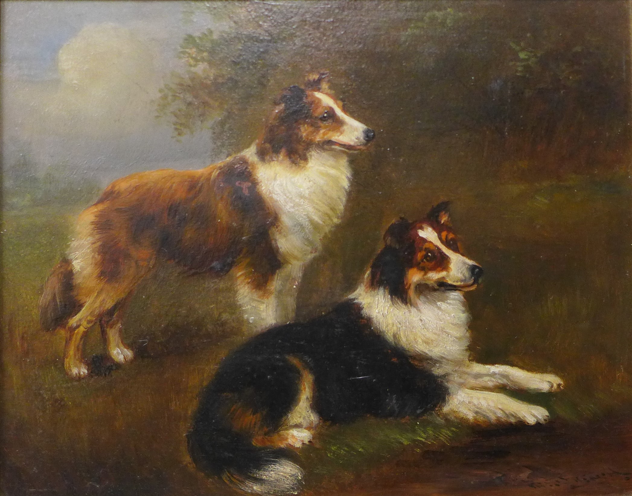 Frederick French (19th Century), study of two border collies, oil on board, 22 x 28cms, framed