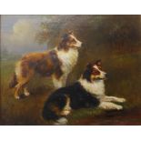 Frederick French (19th Century), study of two border collies, oil on board, 22 x 28cms, framed