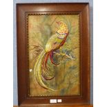 A Victorian needlework study of an exotic bird, framed