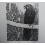 P. Butterworth, Parrots and Cockatoos, artists proof folio of twenty aquatint etchings