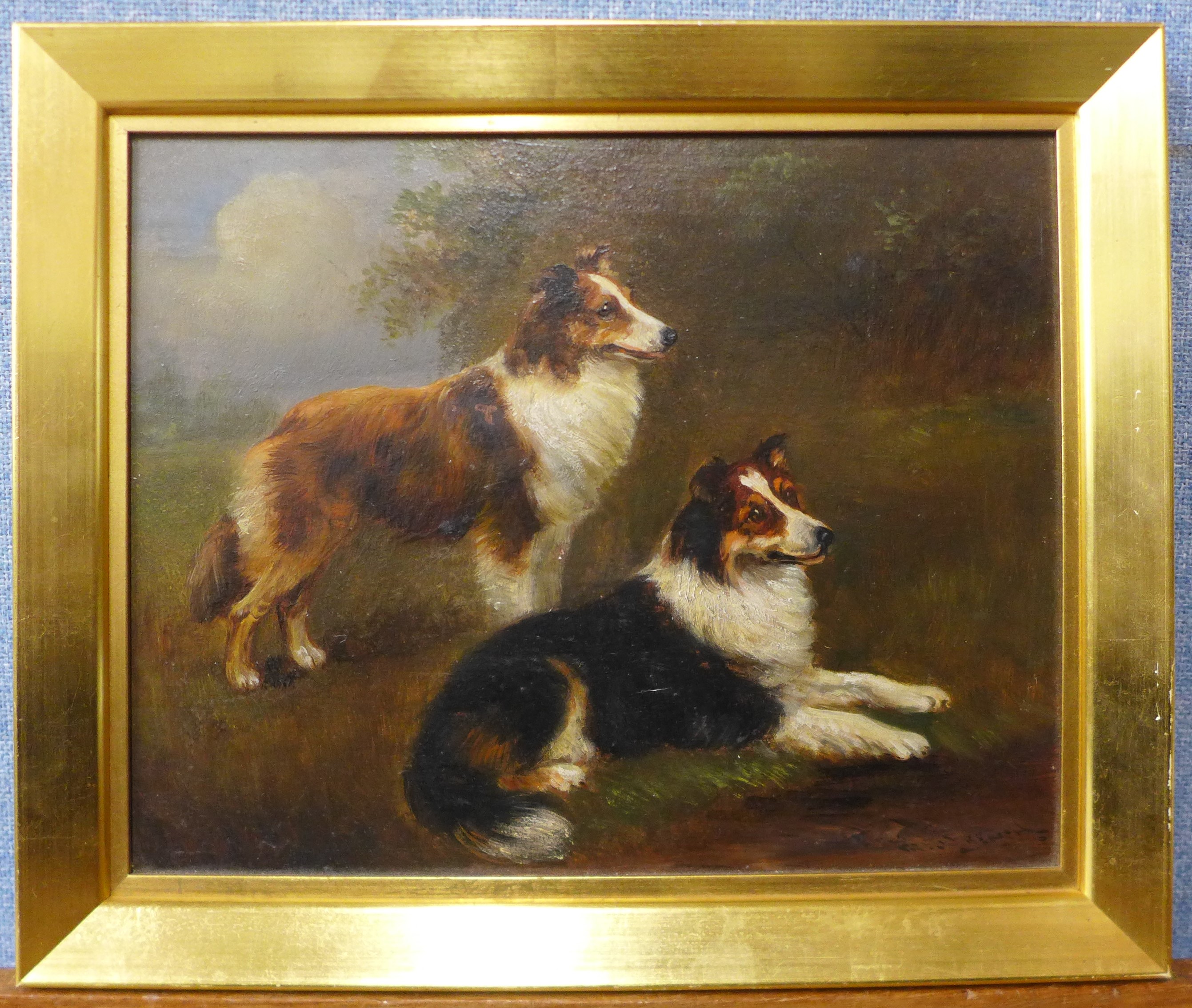 Frederick French (19th Century), study of two border collies, oil on board, 22 x 28cms, framed - Image 2 of 3