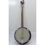 An Ozark banjo