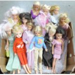 Twelve vintage fashion dolls including Sindy, Barbie, Tressy, Gem, etc.