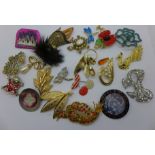 A collection of brooches