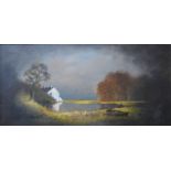 Digby Page, White Reflections, oil on canvas, 44 x 90cms, framed