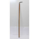 A walking stick with nickel top