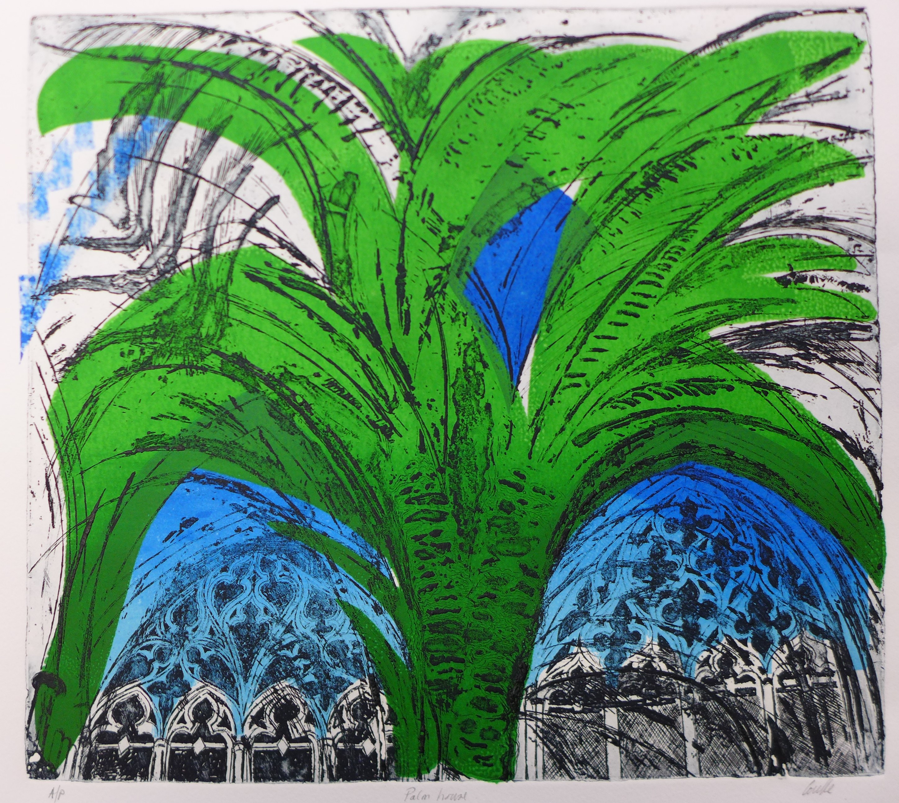 A signed Pamela Guille limited edition etching, Palm House, 31 x 34cms, unframed