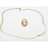 An 18ct gold cameo pendant or brooch with an 18ct gold chain, both marked 750, chain 5.5g, cameo 3.