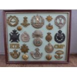 A framed set of 19 regimental cap badges plus buttons